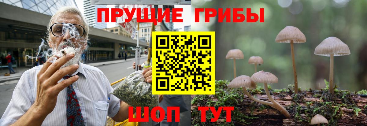 Кемерово  Галлюциногенные грибы Psilocybe  Вход с VPN 